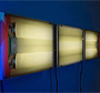 Fluorescent